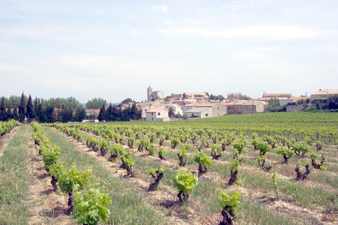 Village